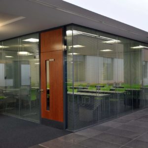 Противопожарная дверь для переговорных комнат / серия FRM33398